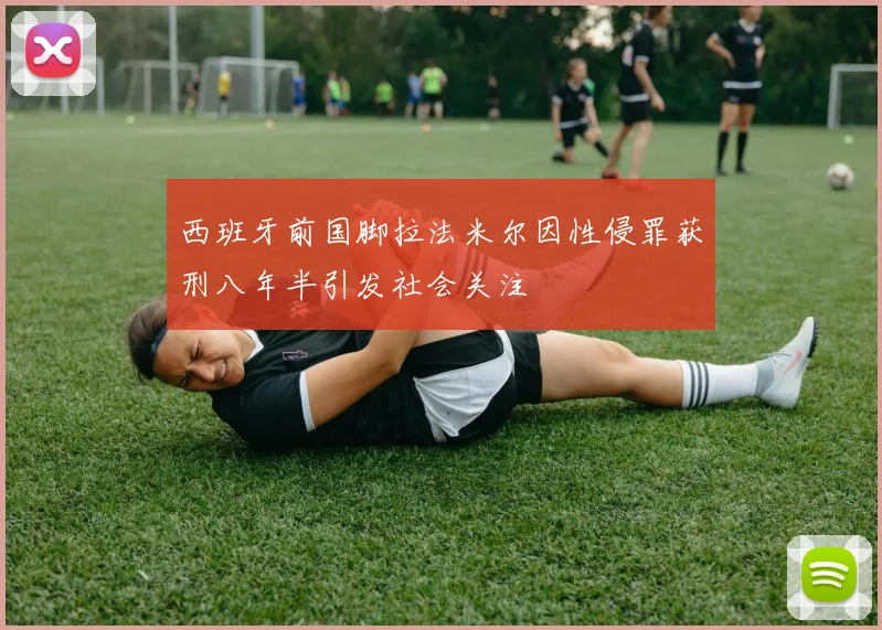 西班牙前国脚拉法米尔因性侵罪获刑八年半引发社会关注